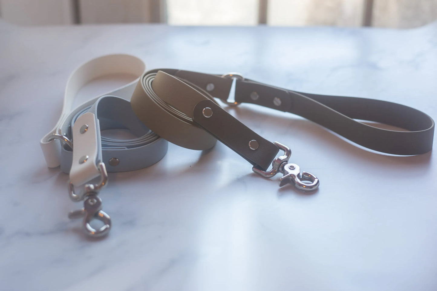 Biothane Leash - Two Toned - Style 2