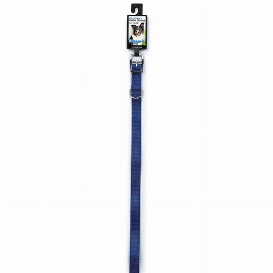 DGR 3/4in Nylon Collar 16in Blue