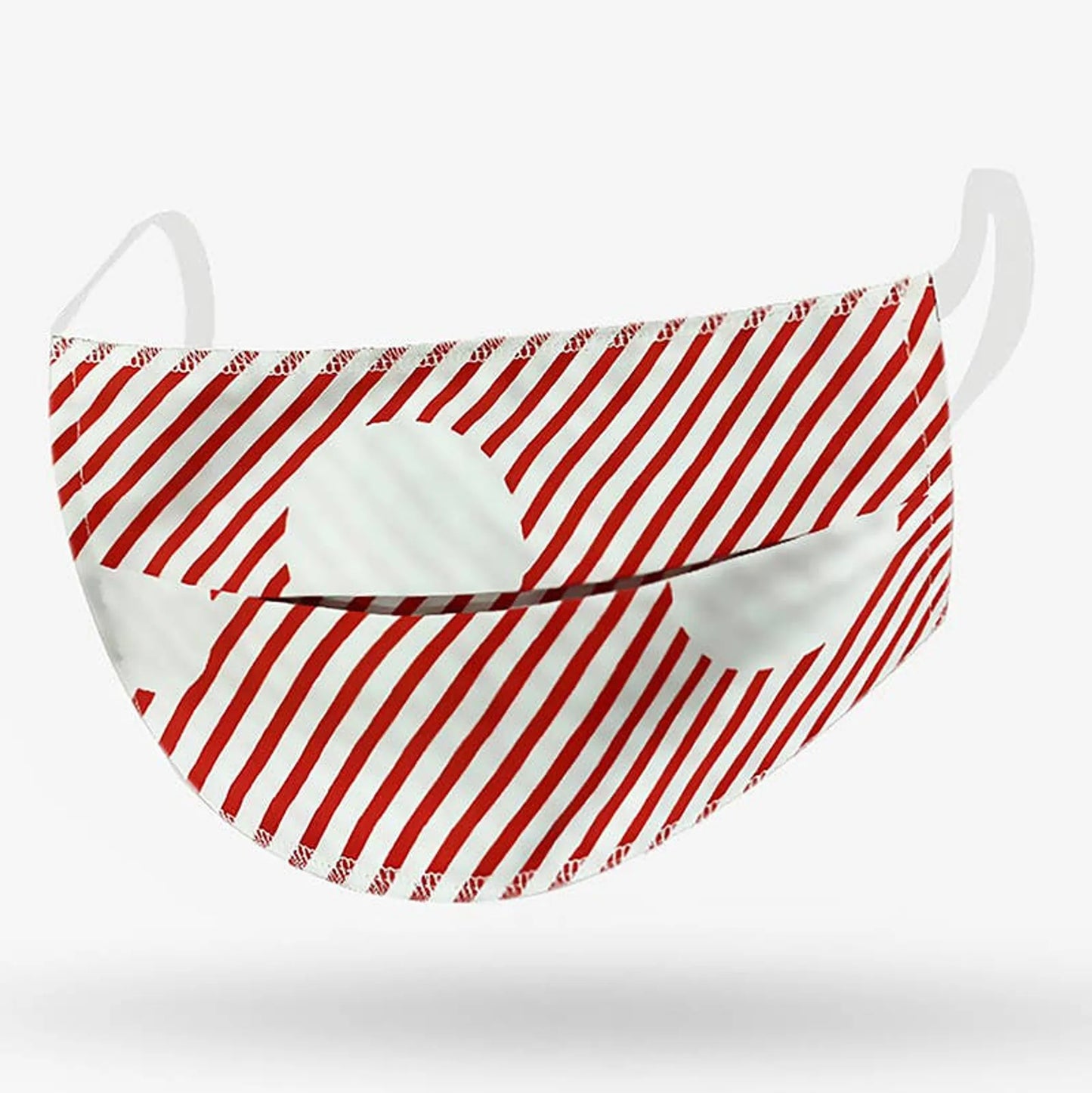 Washable Mask
