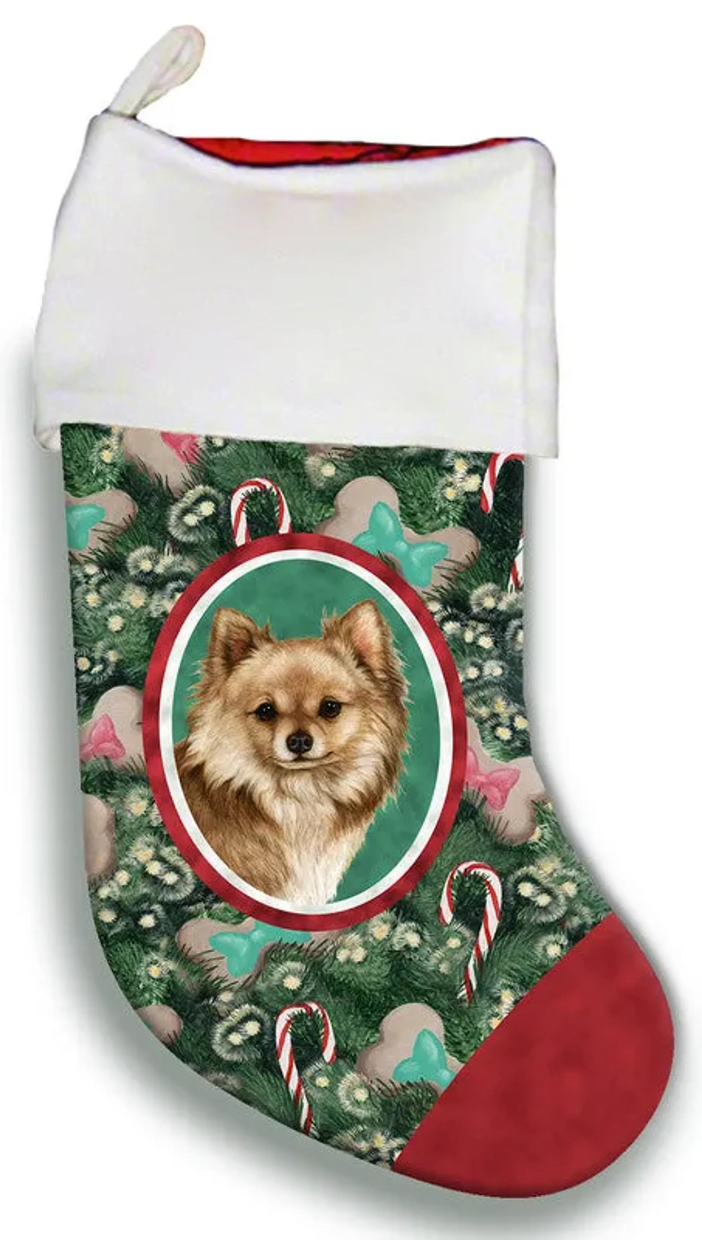 Chihuahua Longhaired Fawn - Best of Breed Christmas Stocking