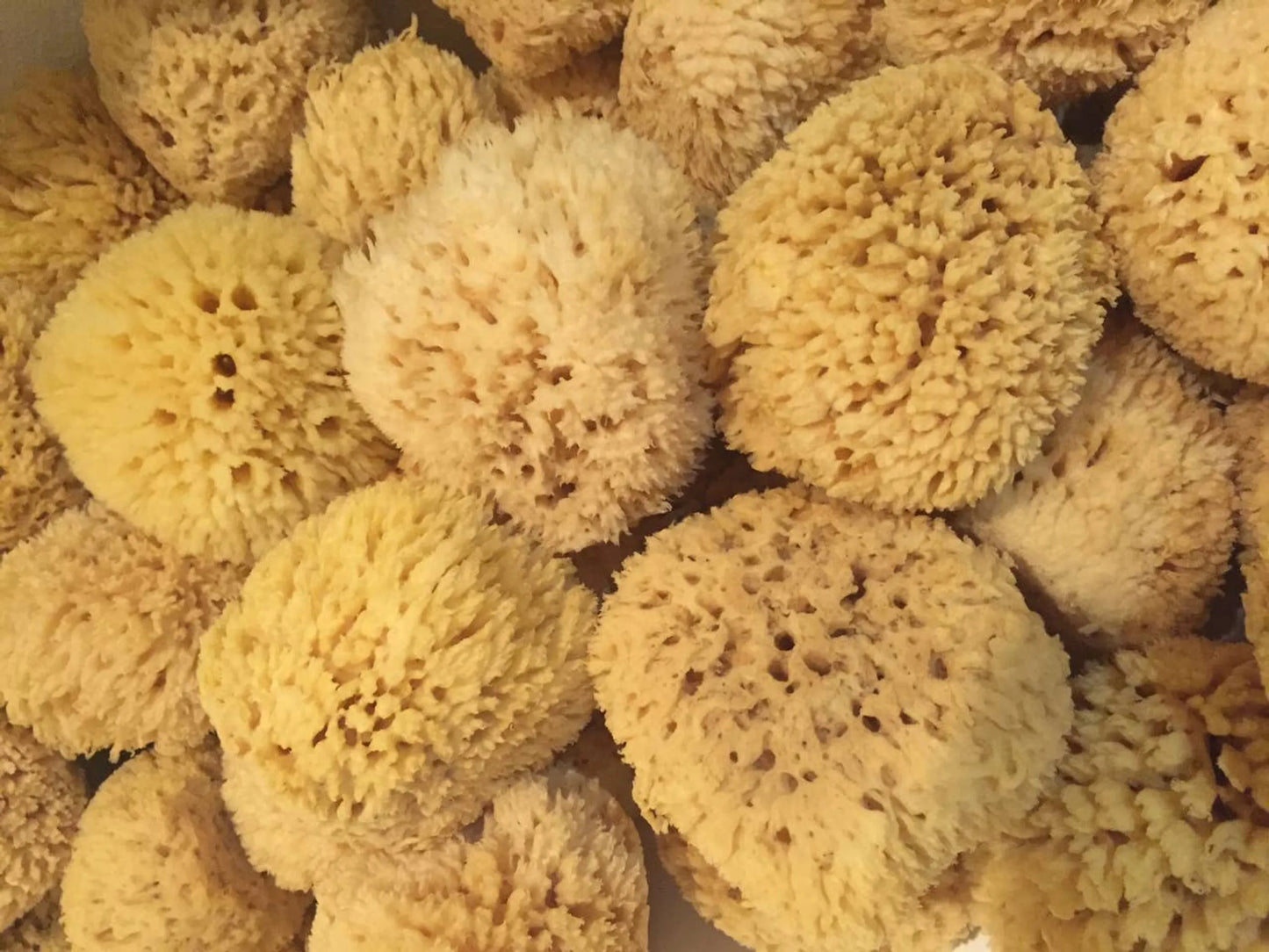 Natural Sea Wool Sponge