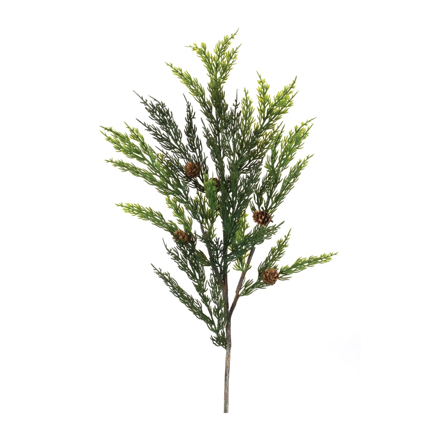 Pine Spray