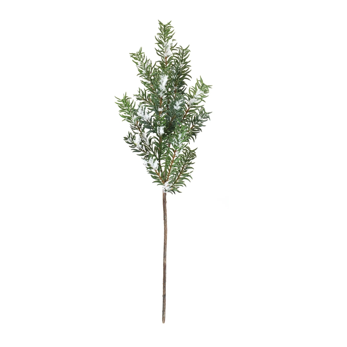 Snow Pine Spray