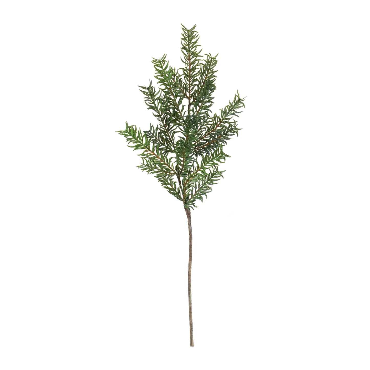 Pine Spray