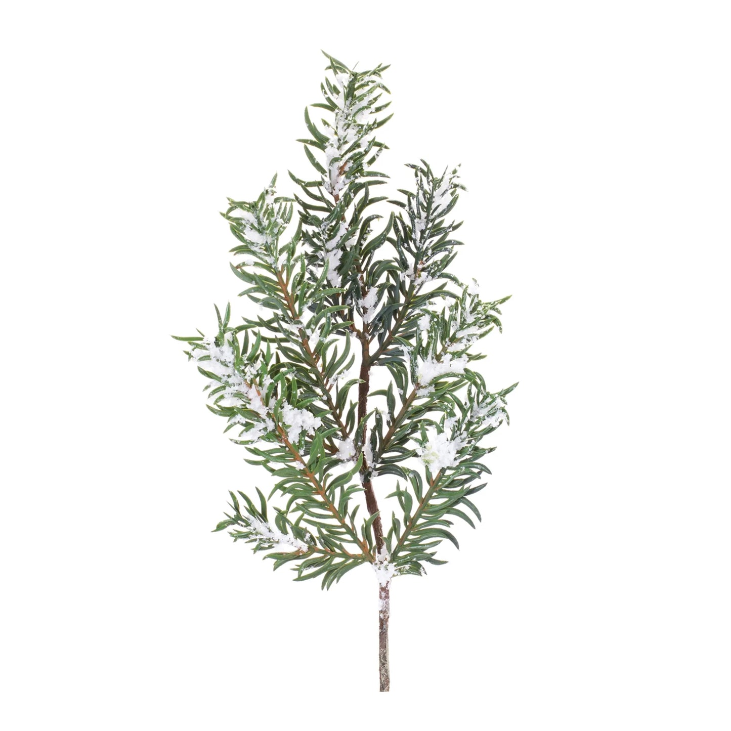 Snow Pine Spray