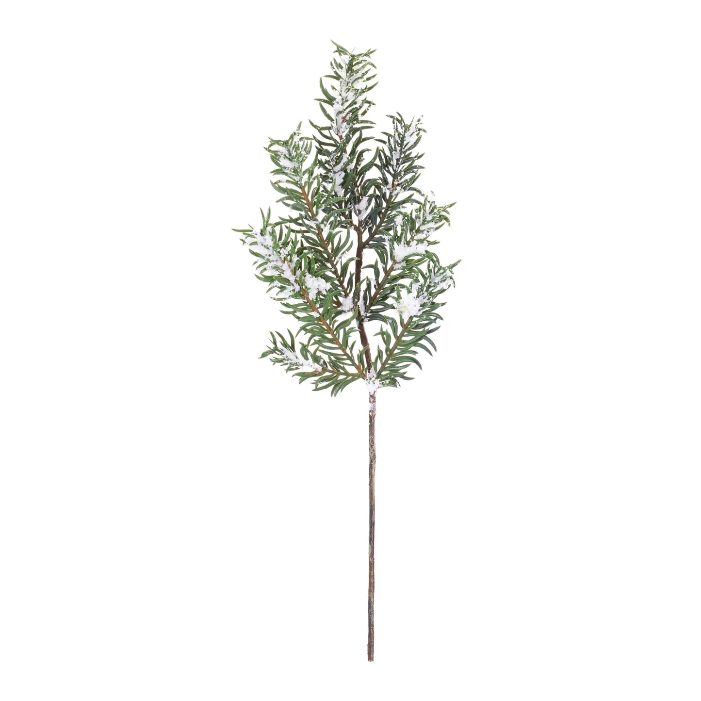 Snow Pine Spray