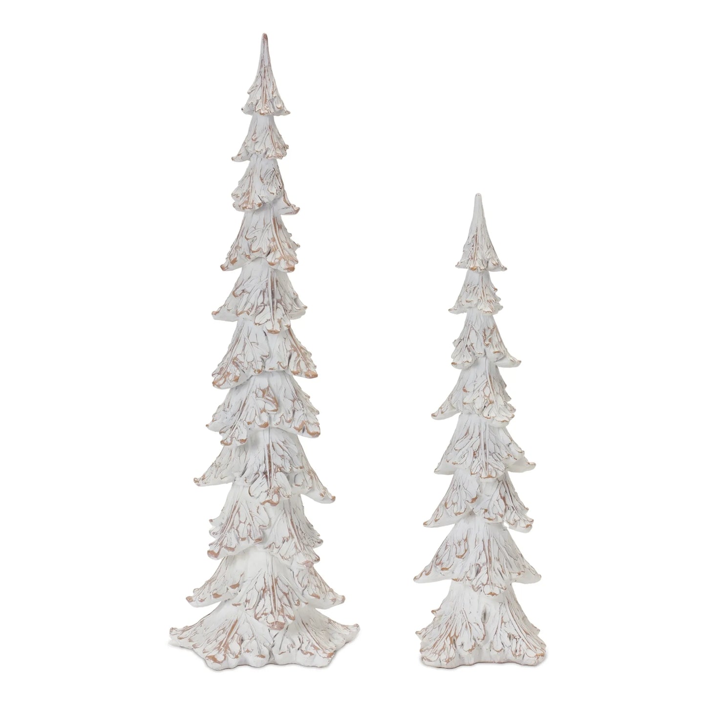 White Washed Pine Tree