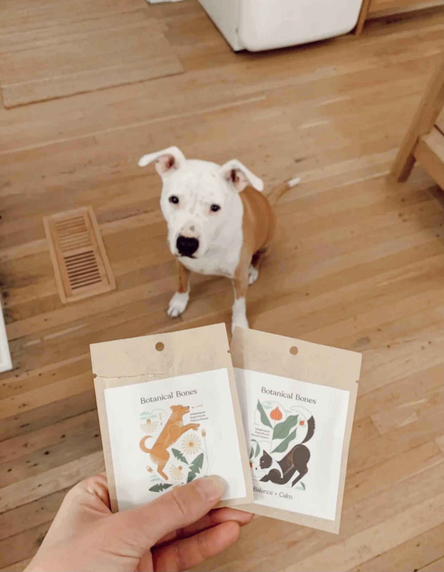 Superfood Dog Treat Minis