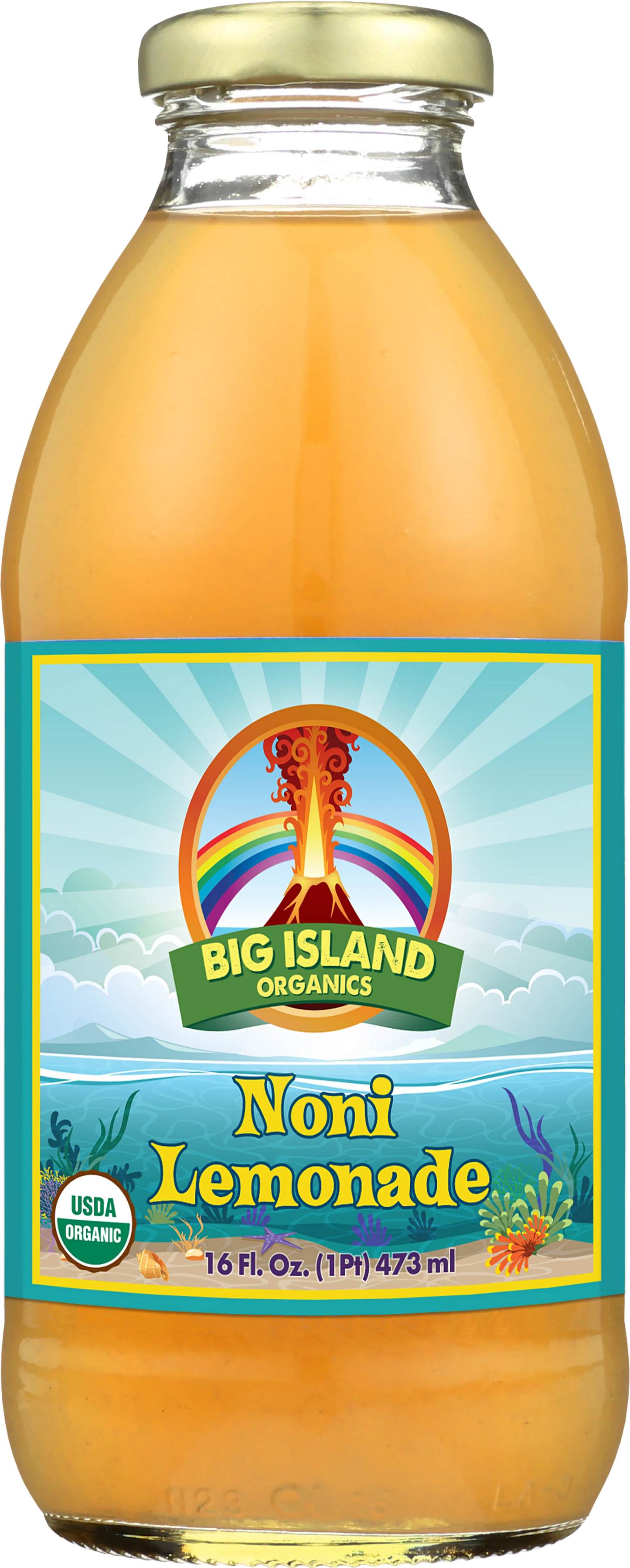 Noni Lemonade 16oz