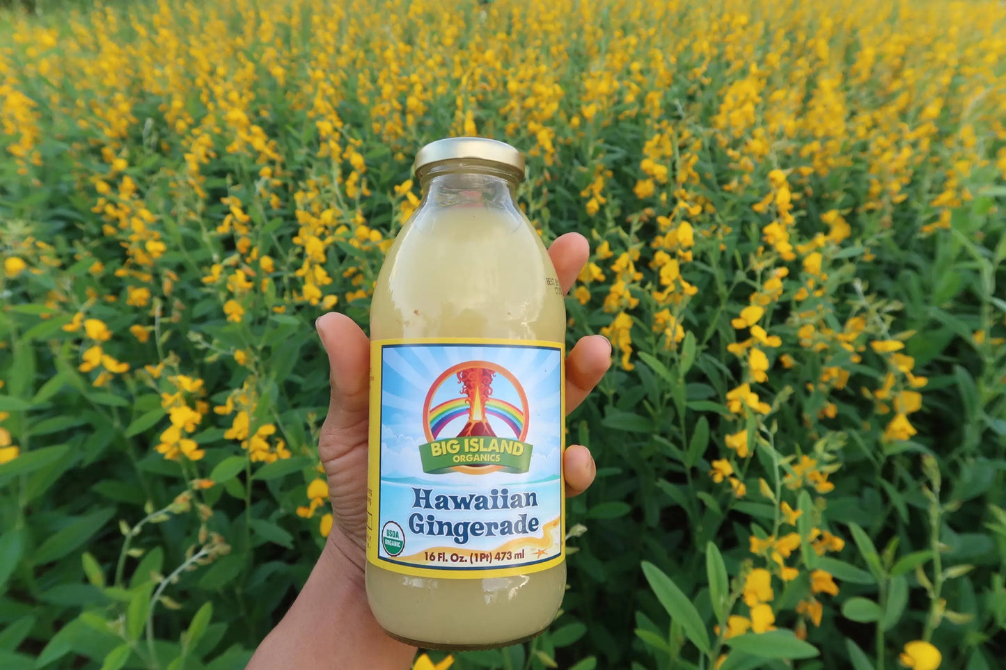 Hawaiian Gingerade 16oz