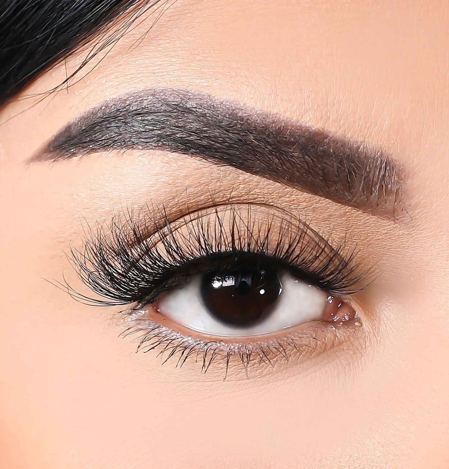 3D Mink Eyelashes - Snake