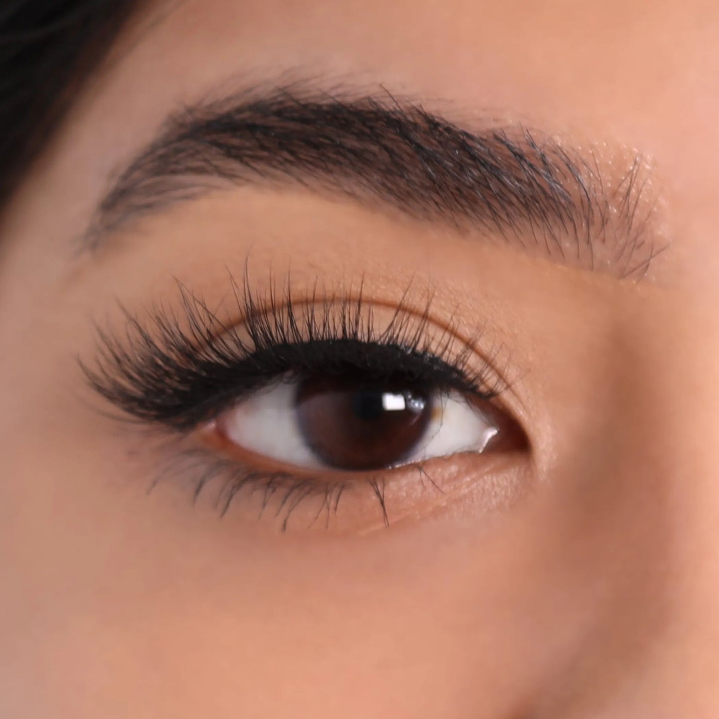 3D Mink Eyelashes - Charming