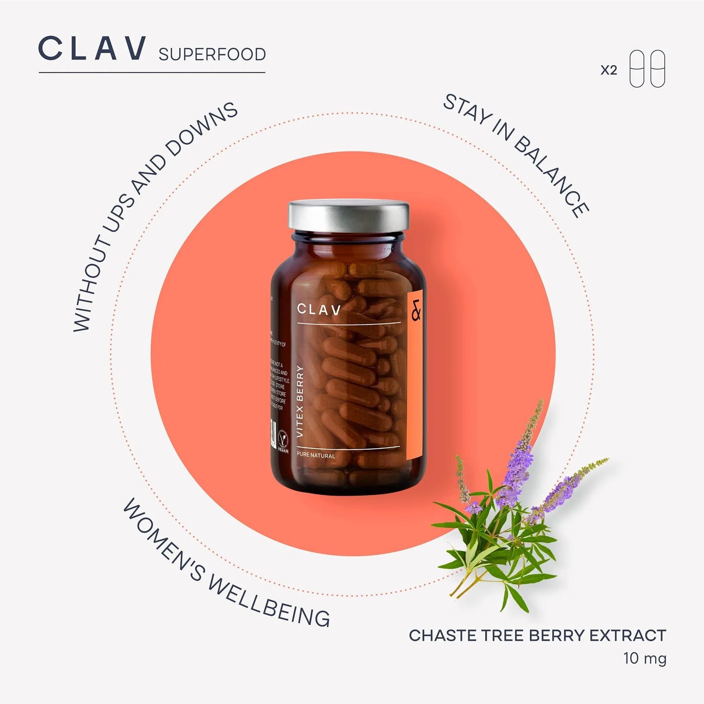 Vitex Berry Premium Chasteberry 4:1 Extract Vitex Agnus Castus