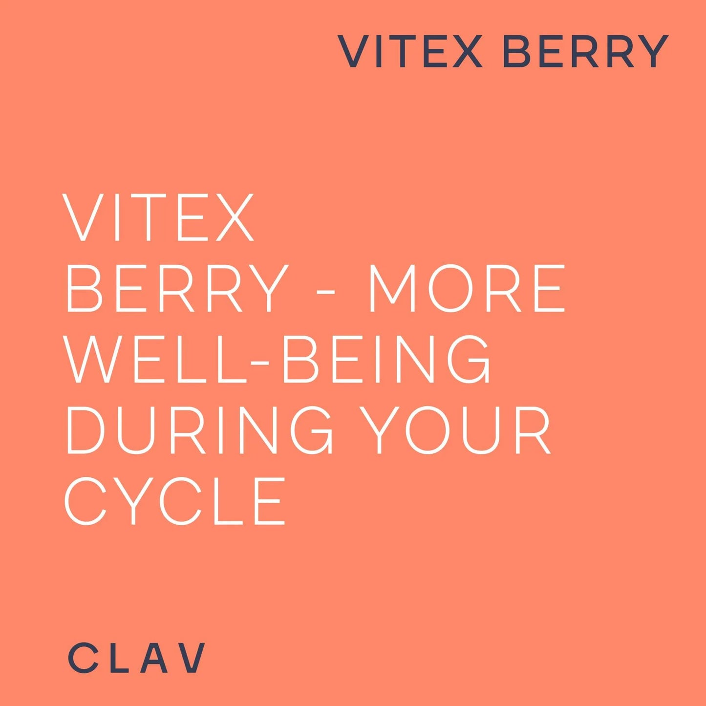 Vitex Berry Premium Chasteberry 4:1 Extract Vitex Agnus Castus