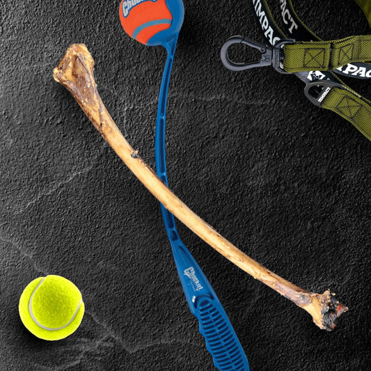 Ostrich Wing Bone : The Ultimate Long-Lasting Chew for Small Dogs & Light Chewers