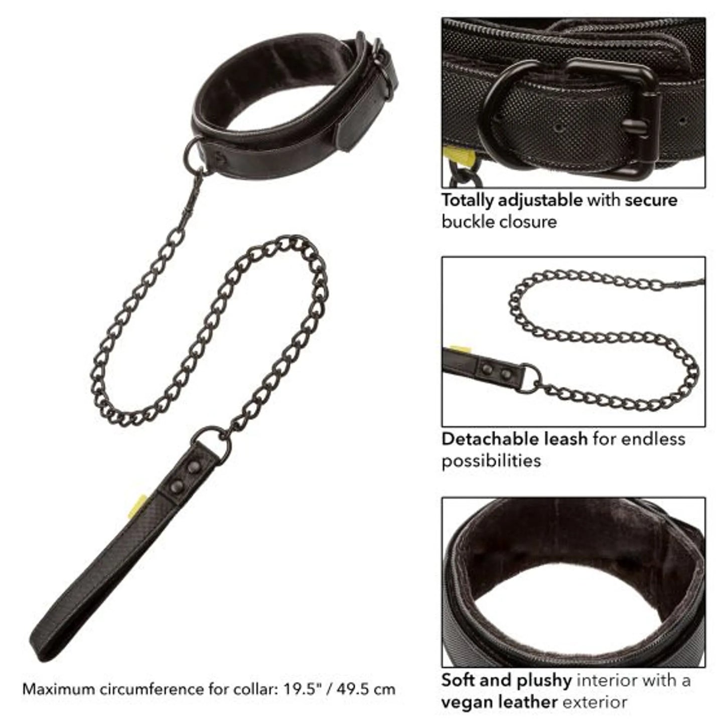 BOUNDLESS COLLAR & LEASH