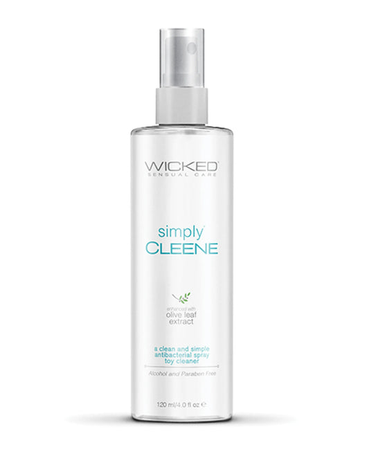 WICKED SIMPLY CLEENE 4 OZ TOY CLEANER