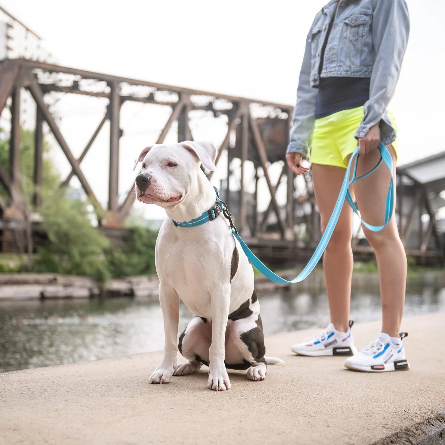 GF Pet Reflective Leash