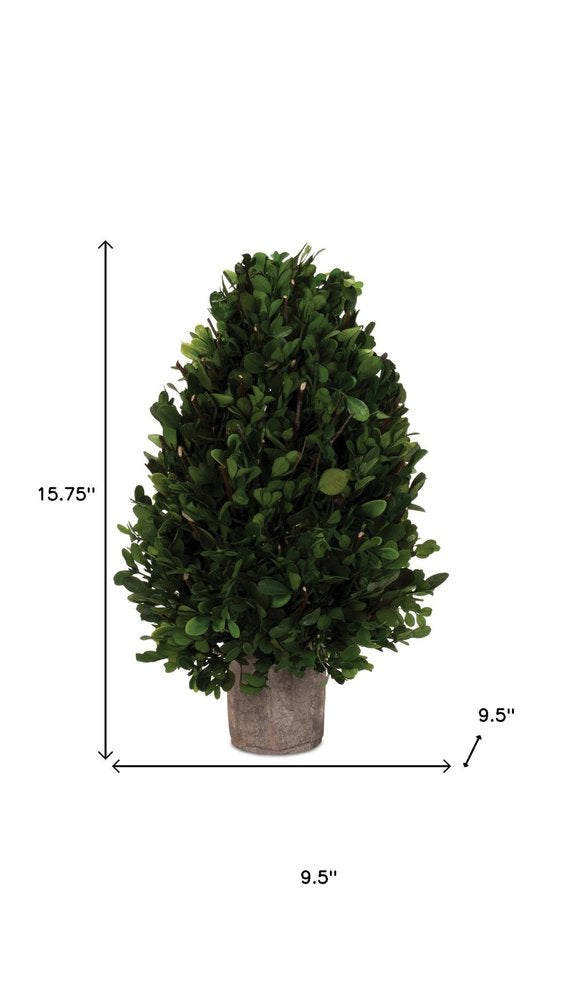 16" Green Artificial Boxwood Tree In Round Brown Pot
