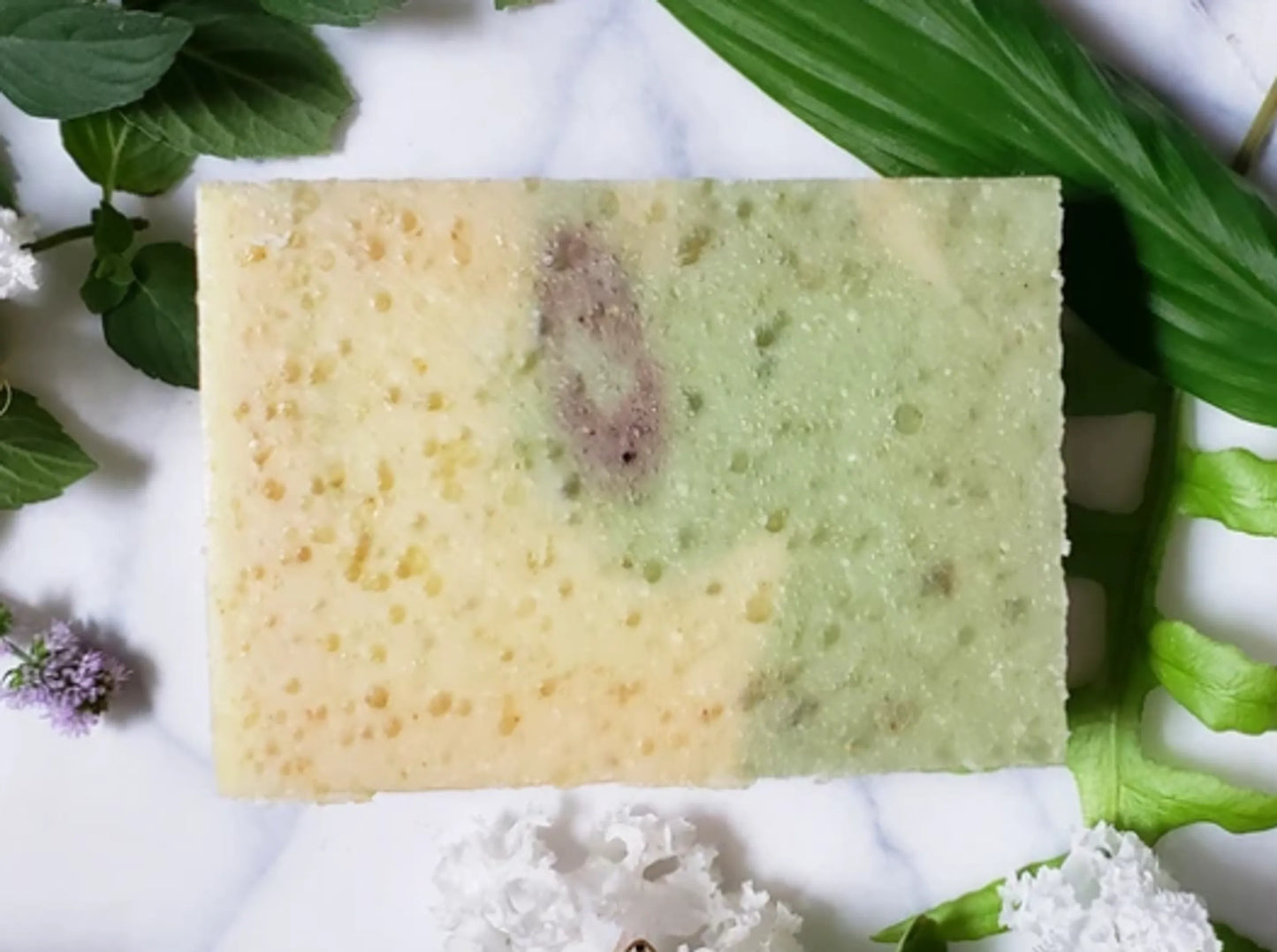 Soap Bar