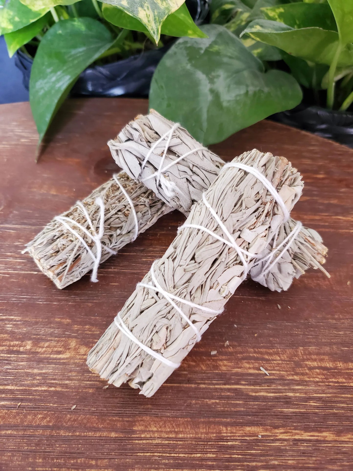 Sustainably Sourced White Sage + Pine Bundle