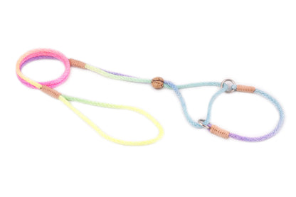 Nylon Martingale Leads (8in x 1/8in or 4mm)