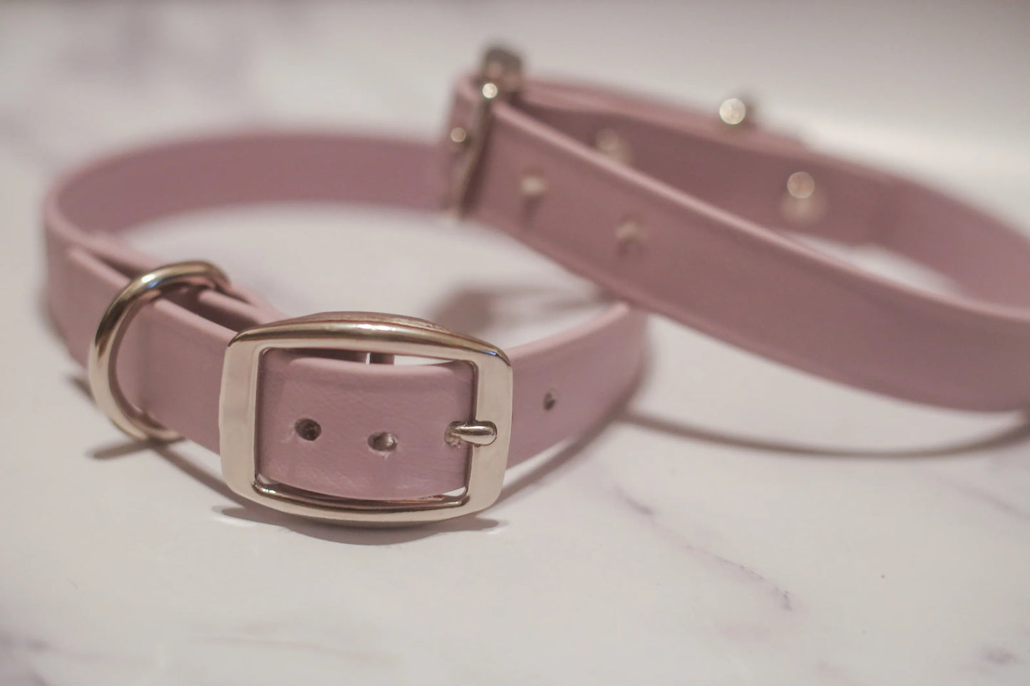 Biothane Buckle Dog Collar