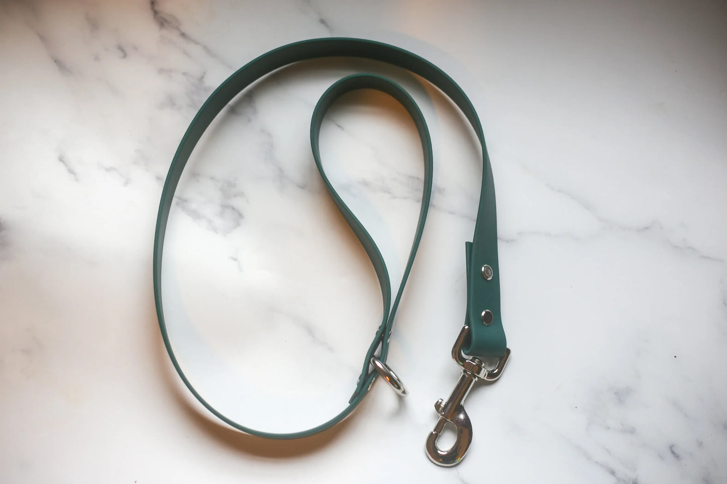 Biothane Leash