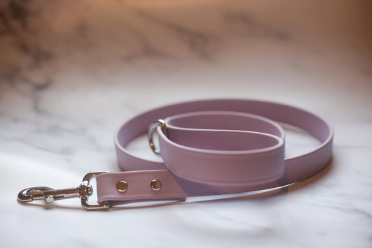 Biothane Leash