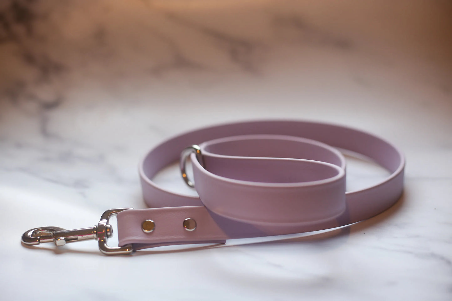 Biothane Leash