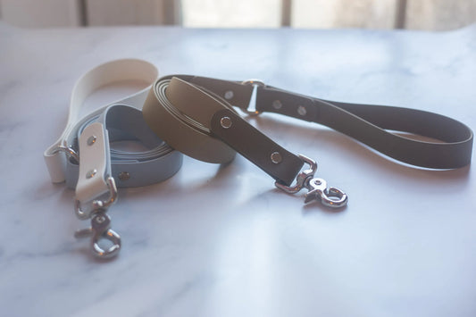 Biothane Leash - Two Toned - Style 2