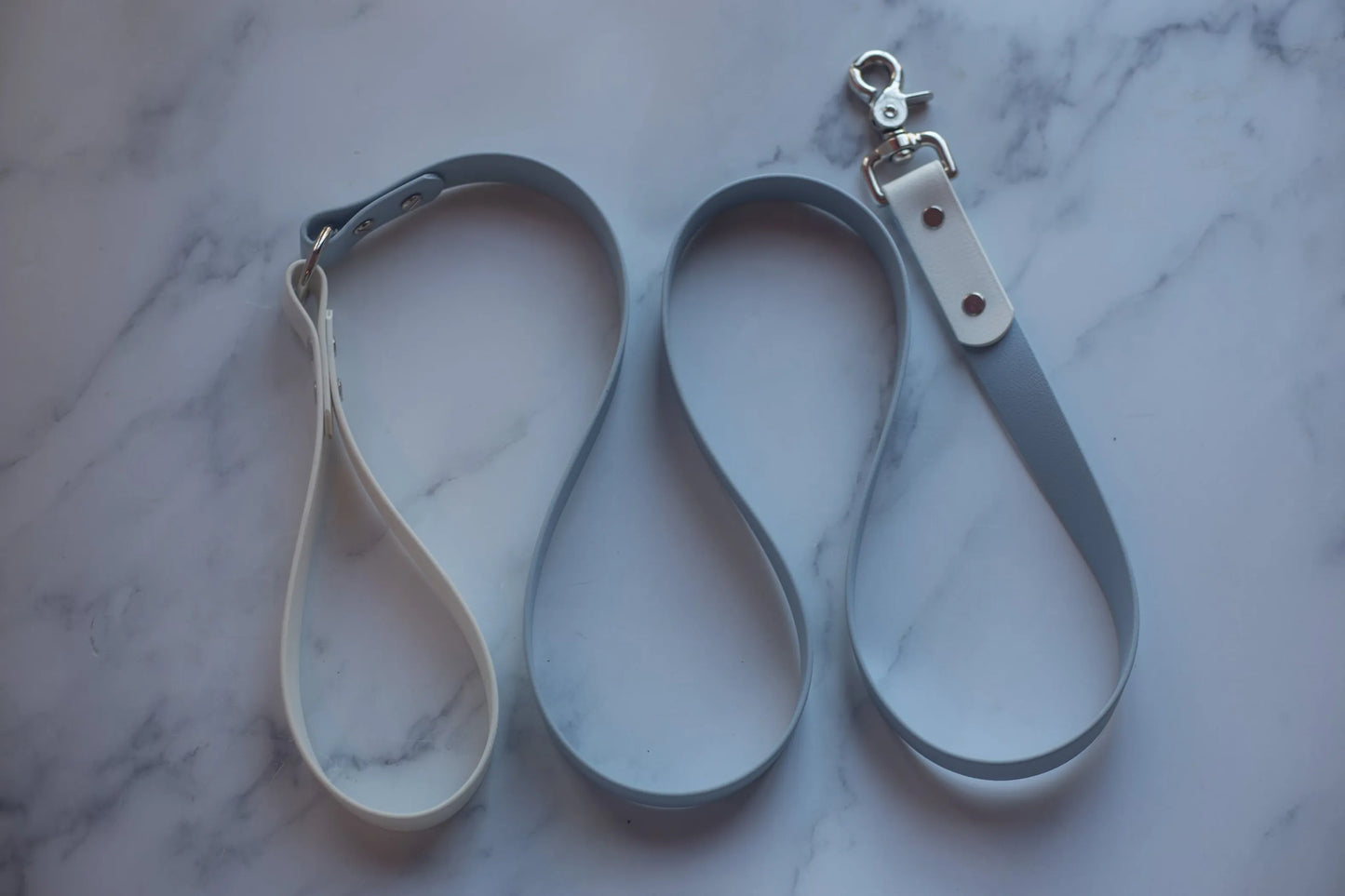 Biothane Leash - Two Toned - Style 2