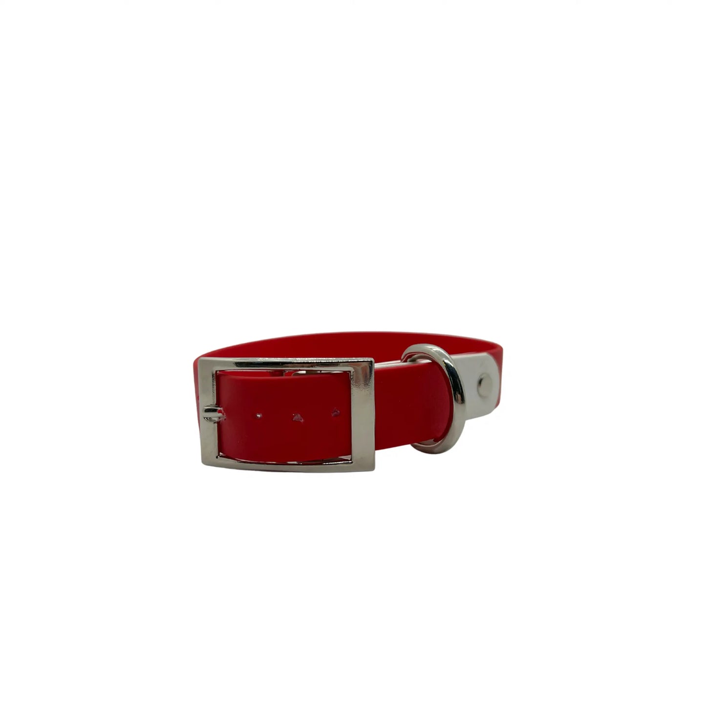 Biothane Buckle Dog Collar