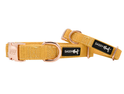 Collar  - Pack Of: 1