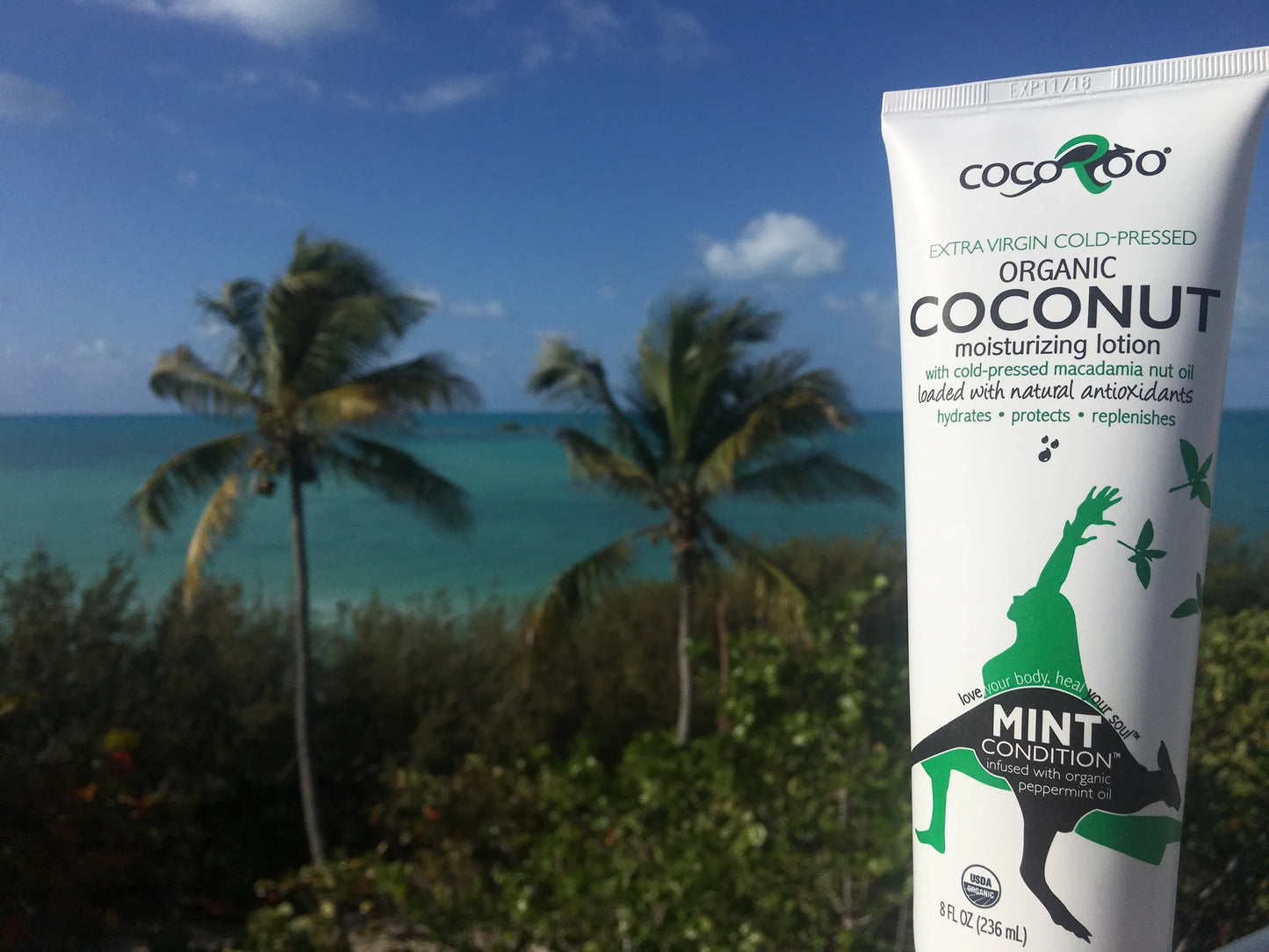 CocoRoo Mint Condition Organic Coconut Oil Moisturizer