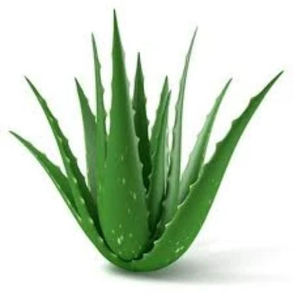 Exfoliating Detox Cleanser