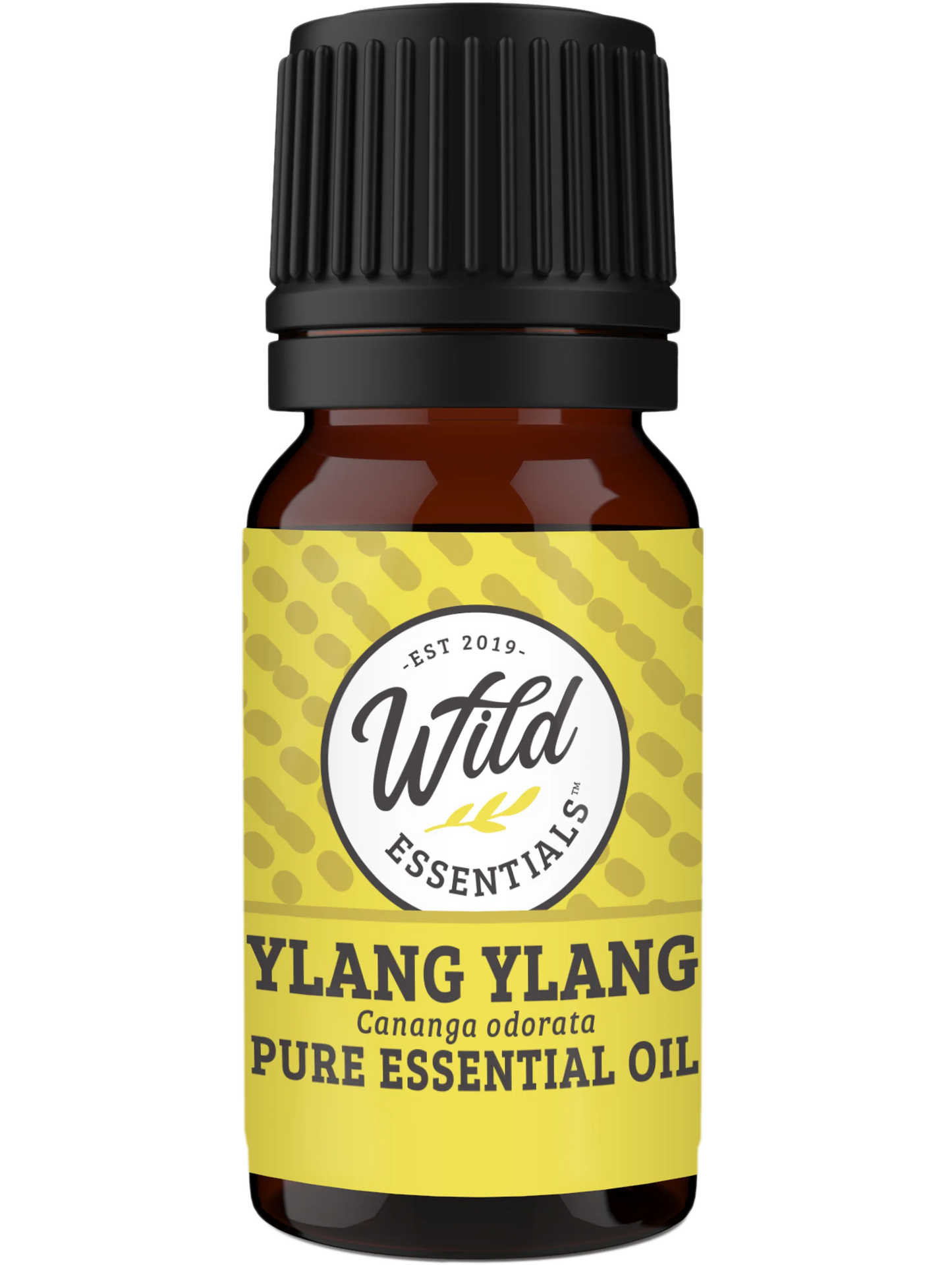 Essential Oils (Single Note)
