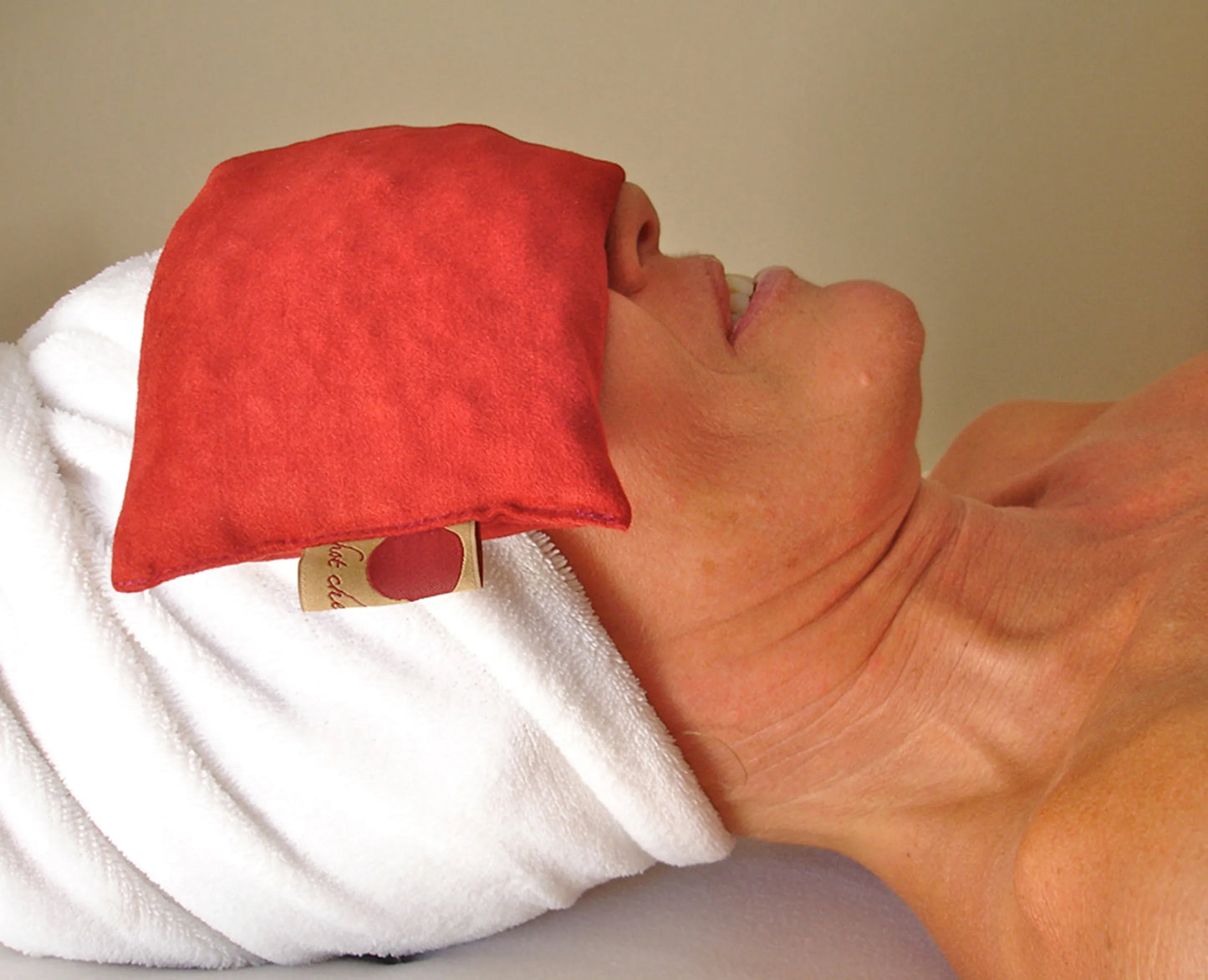 Hot Cherry Double Square Pillow