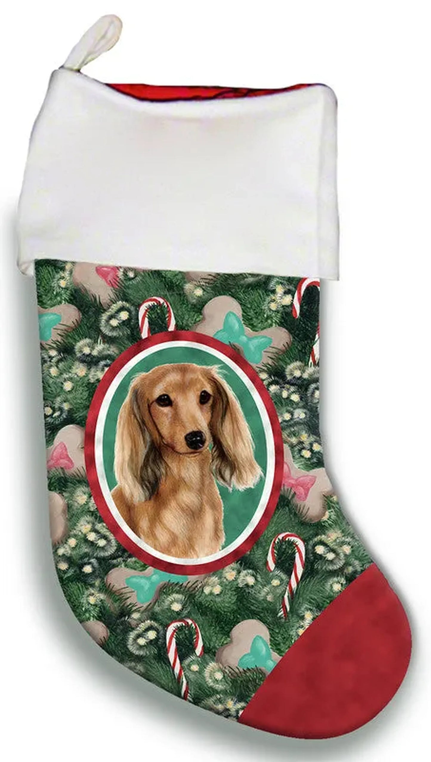 Dachshund Longhaired Cream - Best of Breed Christmas Stocking