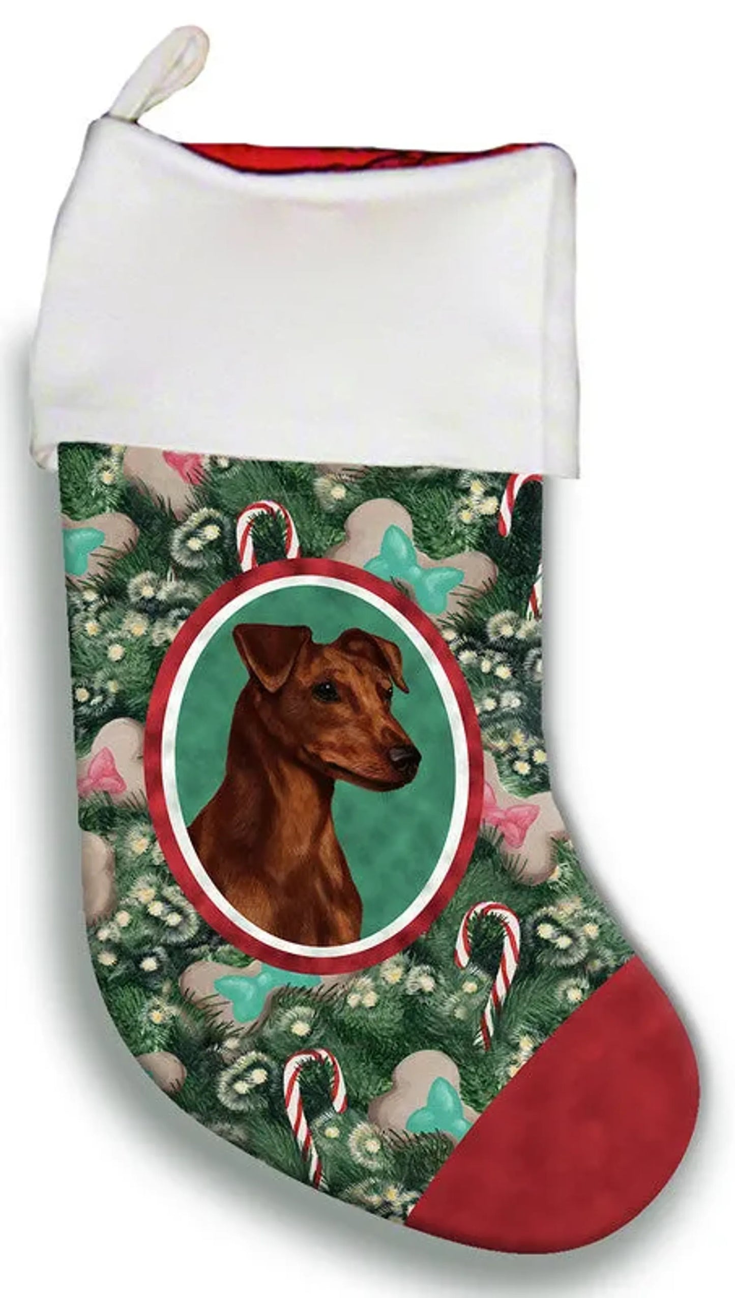 Miniature Pincsher  Red  Uncropped- Best of Breed Christmas Stocking