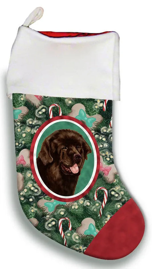 Newfoundland Chocolate- Best of Breed Christmas Stocking