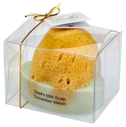 Goat Milk Soap with a Natural Sea Sponge