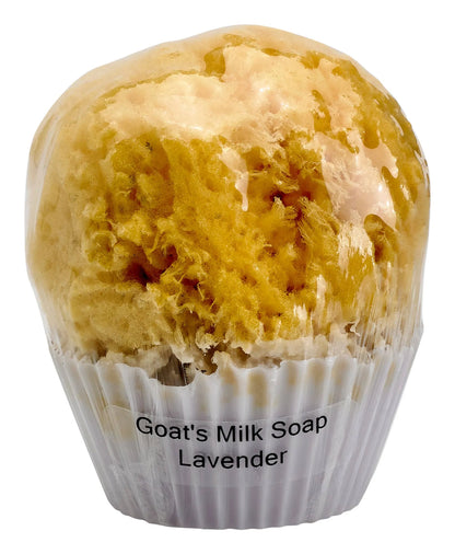 Cupcake Soap with a Natural Sea Sponge