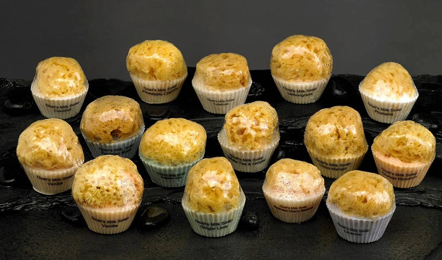 Cupcake Soap with a Natural Sea Sponge