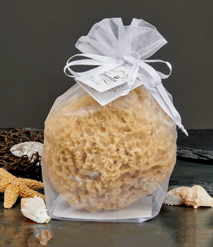 Natural Sea Wool Sponge