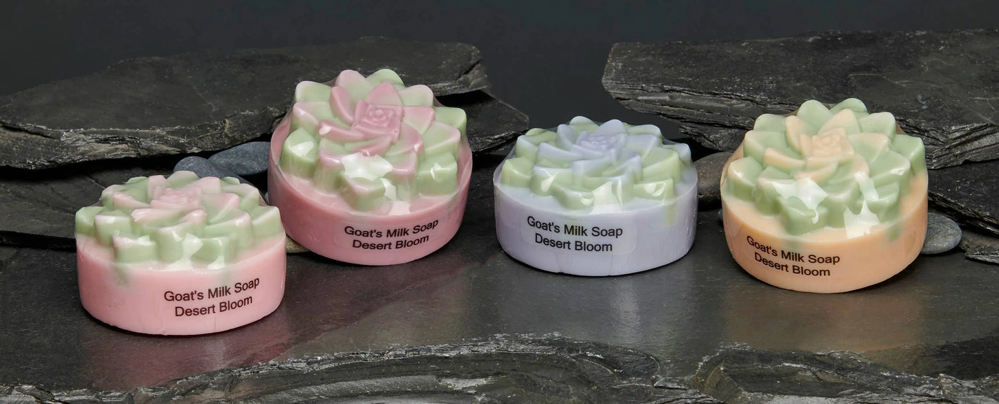 Succulent Soaps