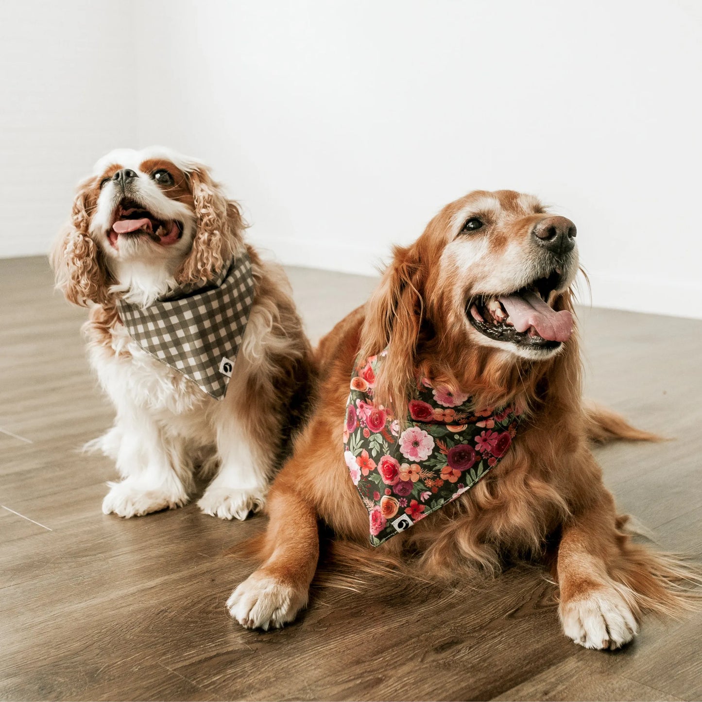 Mulberry Bouquet Dog Bandana