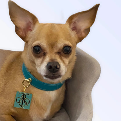 Sniff & Co. NYC Logo Collar