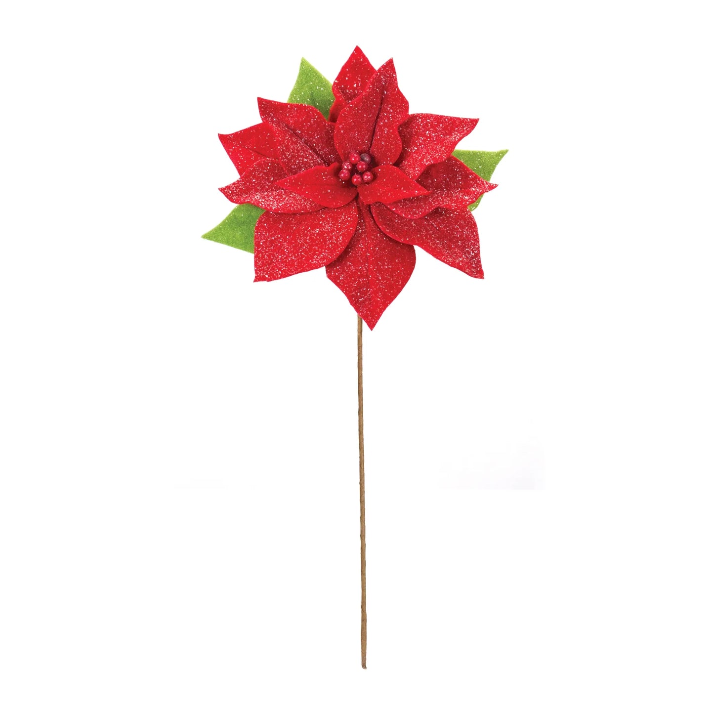 Poinsettia Flower Stem