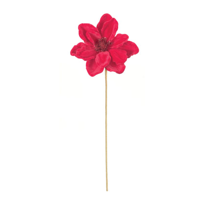 Anemone Flower Stem